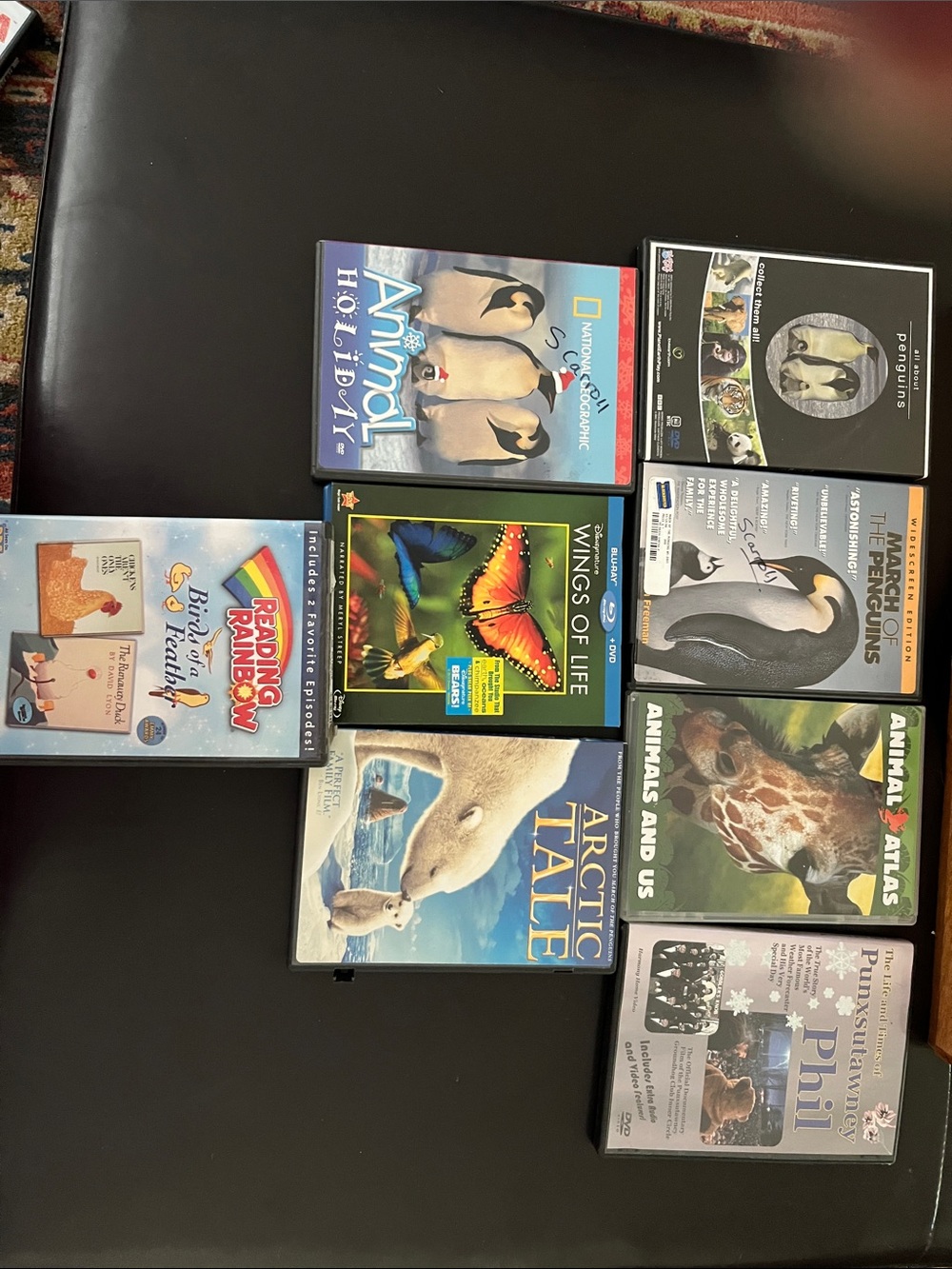 ANIMAL learning DVDs (set of 8)